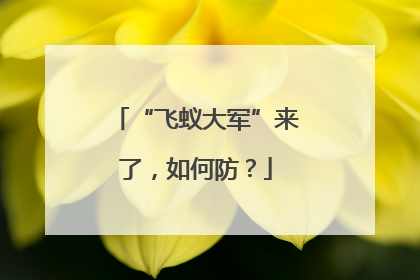 “飞蚁大军”来了，如何防？